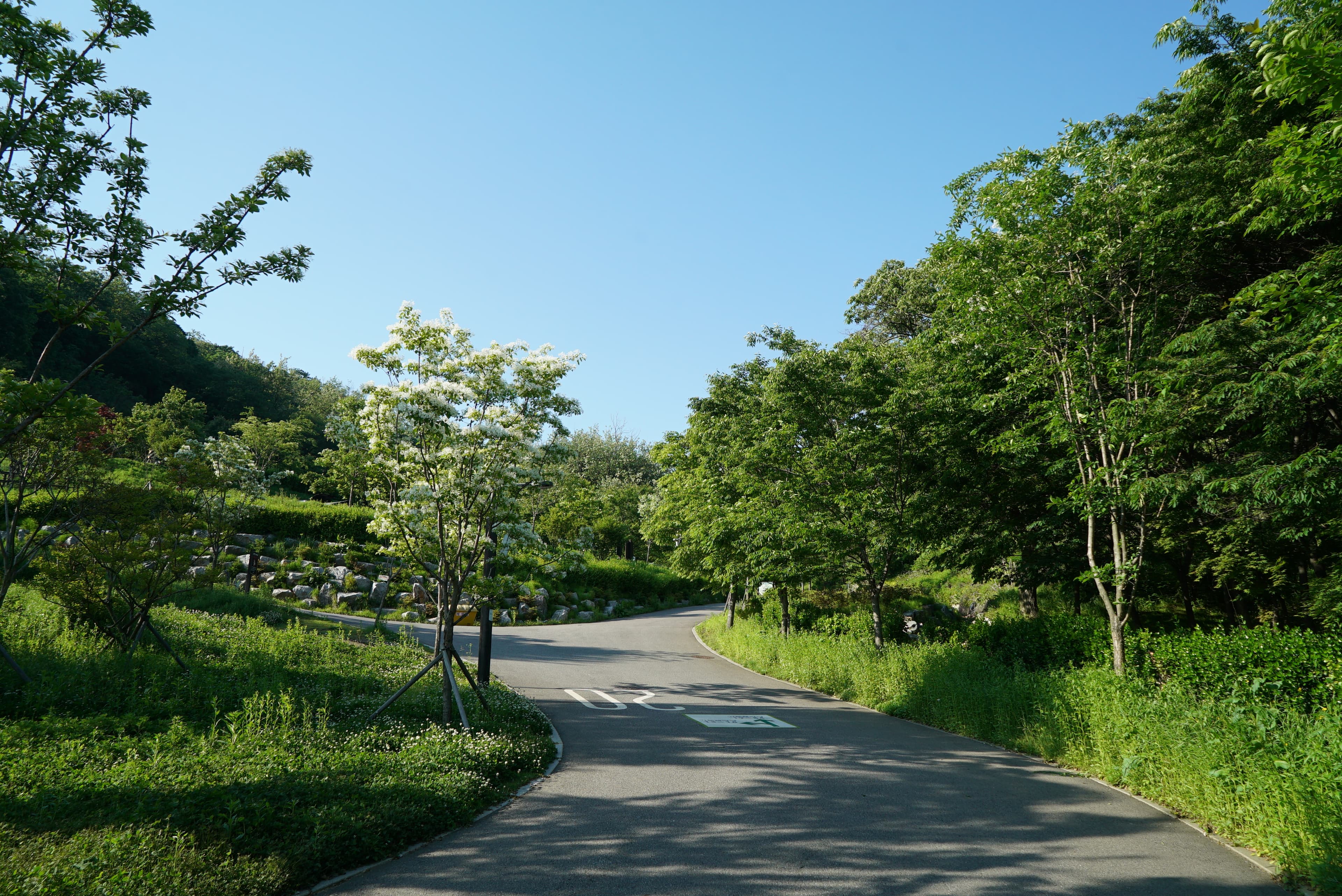 천왕산 가족캠핑장 사진 33