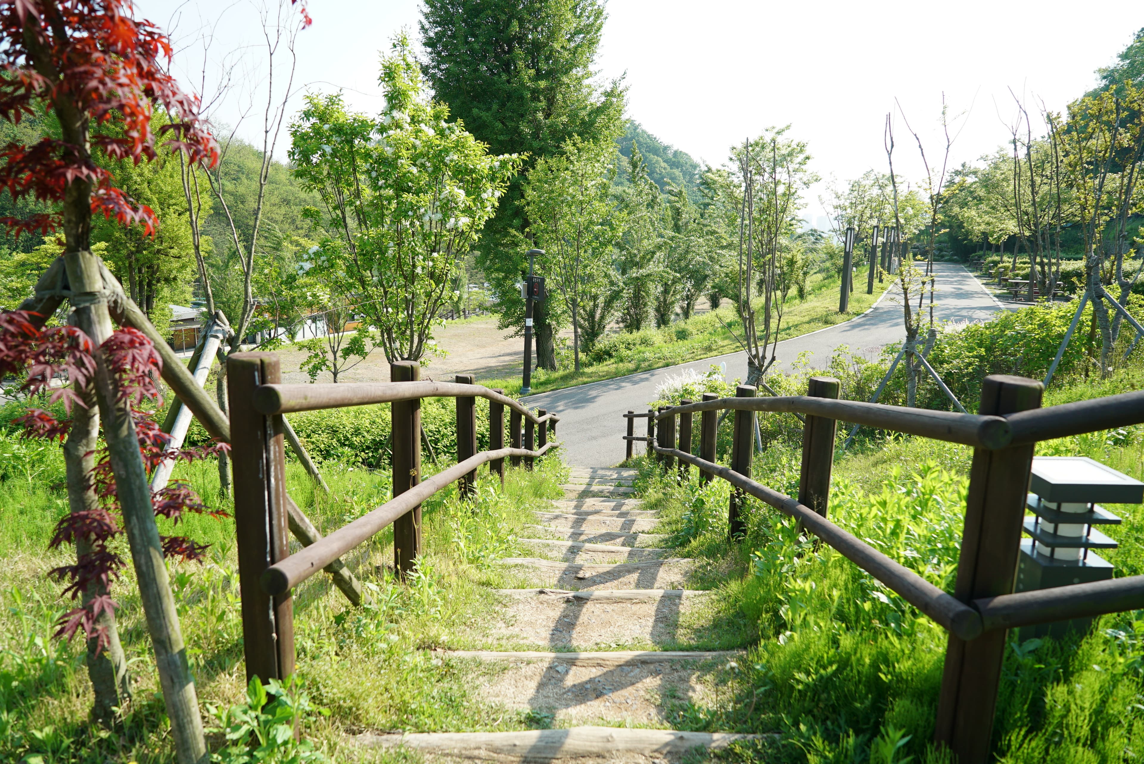 천왕산 가족캠핑장 사진 9