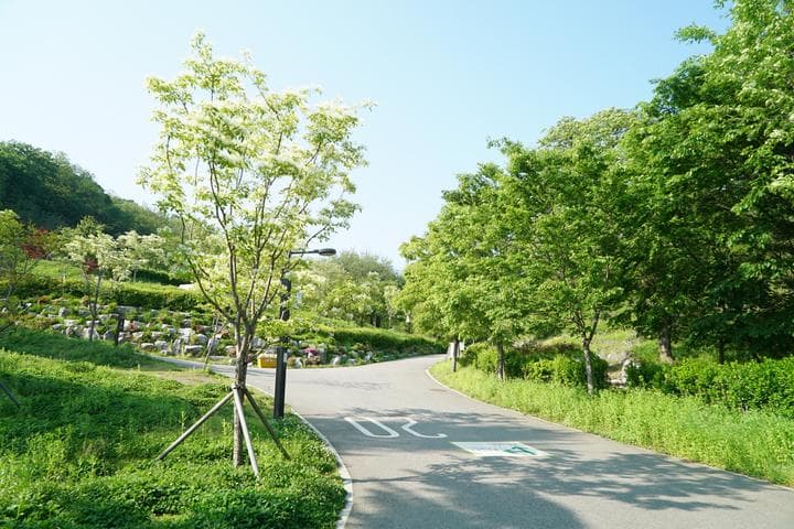 천왕산 가족캠핑장 대표 사진