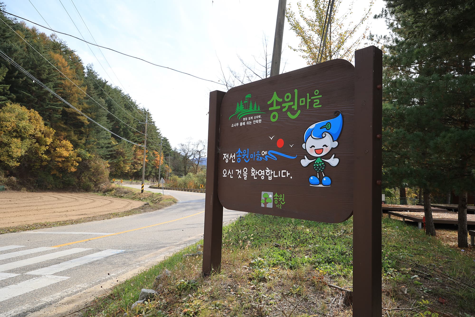 솔미캠핑장 사진 4