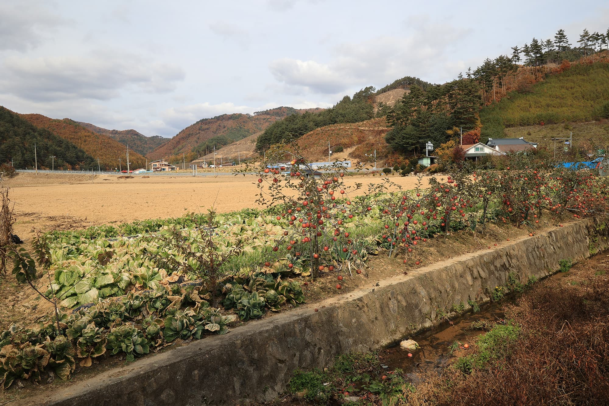 솔미캠핑장 사진 15