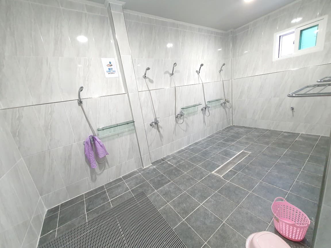파인트리캠핑장 사진 53