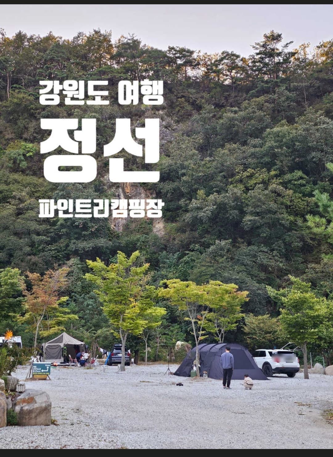 파인트리캠핑장 사진 94