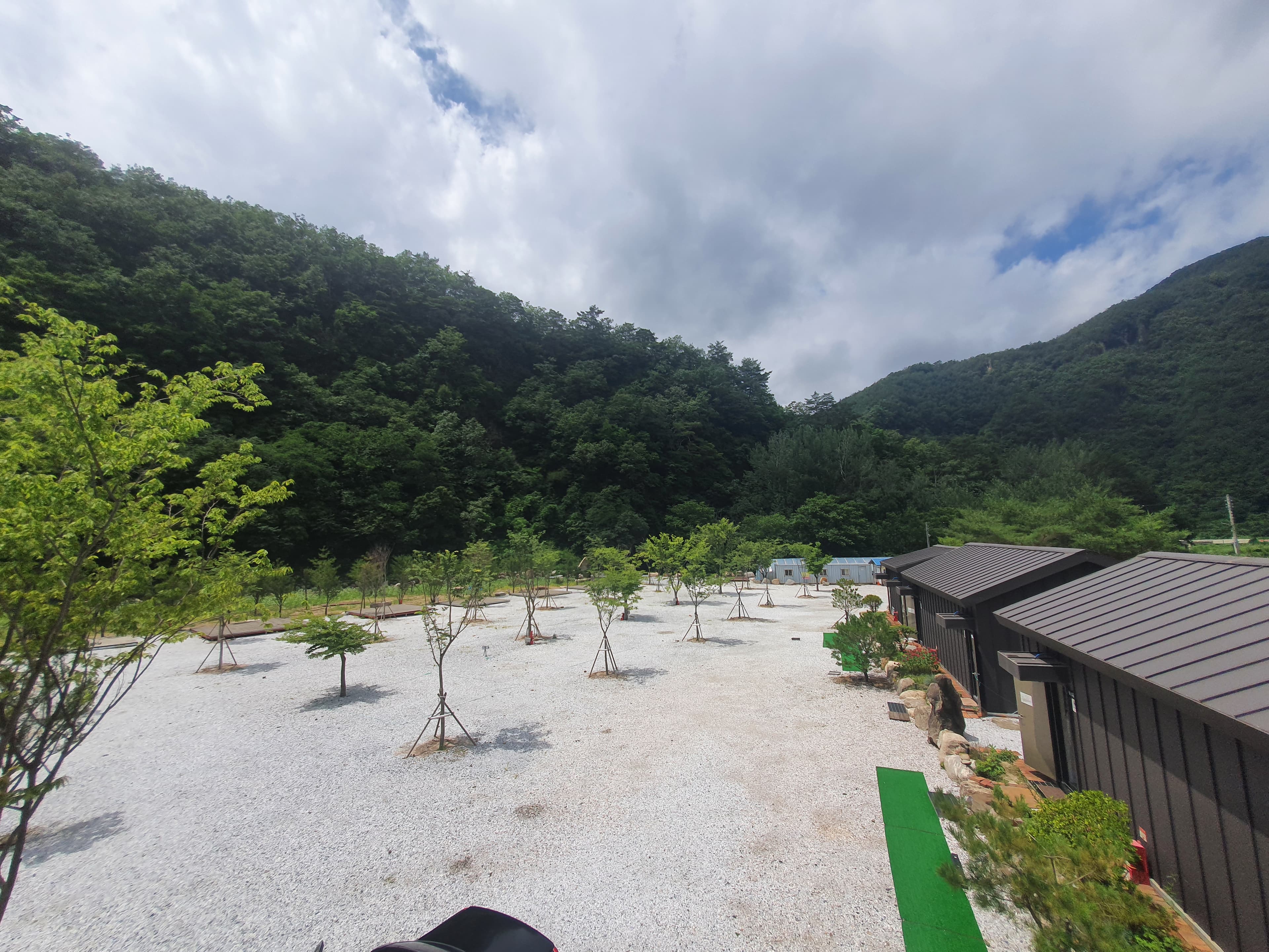 파인트리캠핑장 사진 8