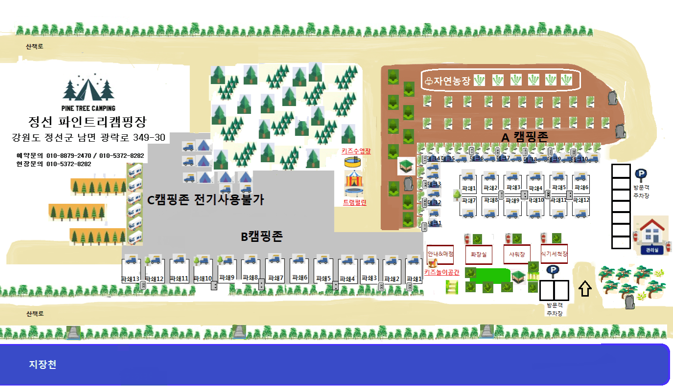 파인트리캠핑장 사진 84
