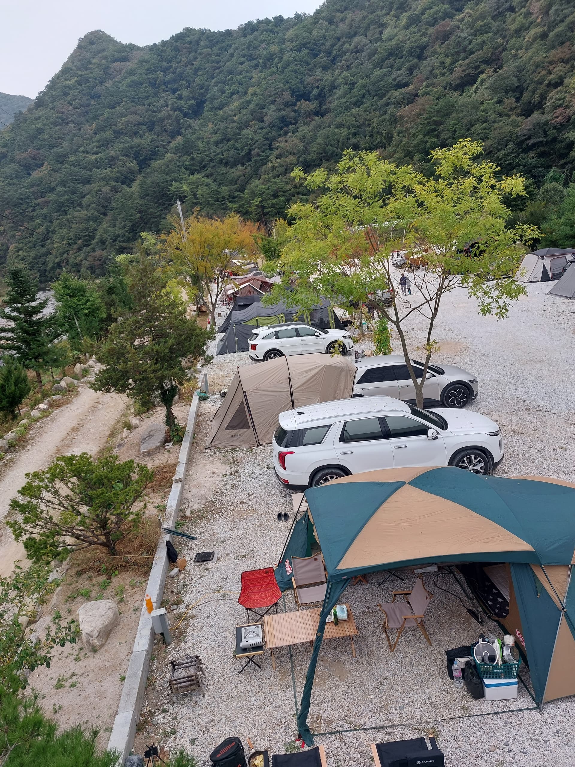 파인트리캠핑장 사진 89