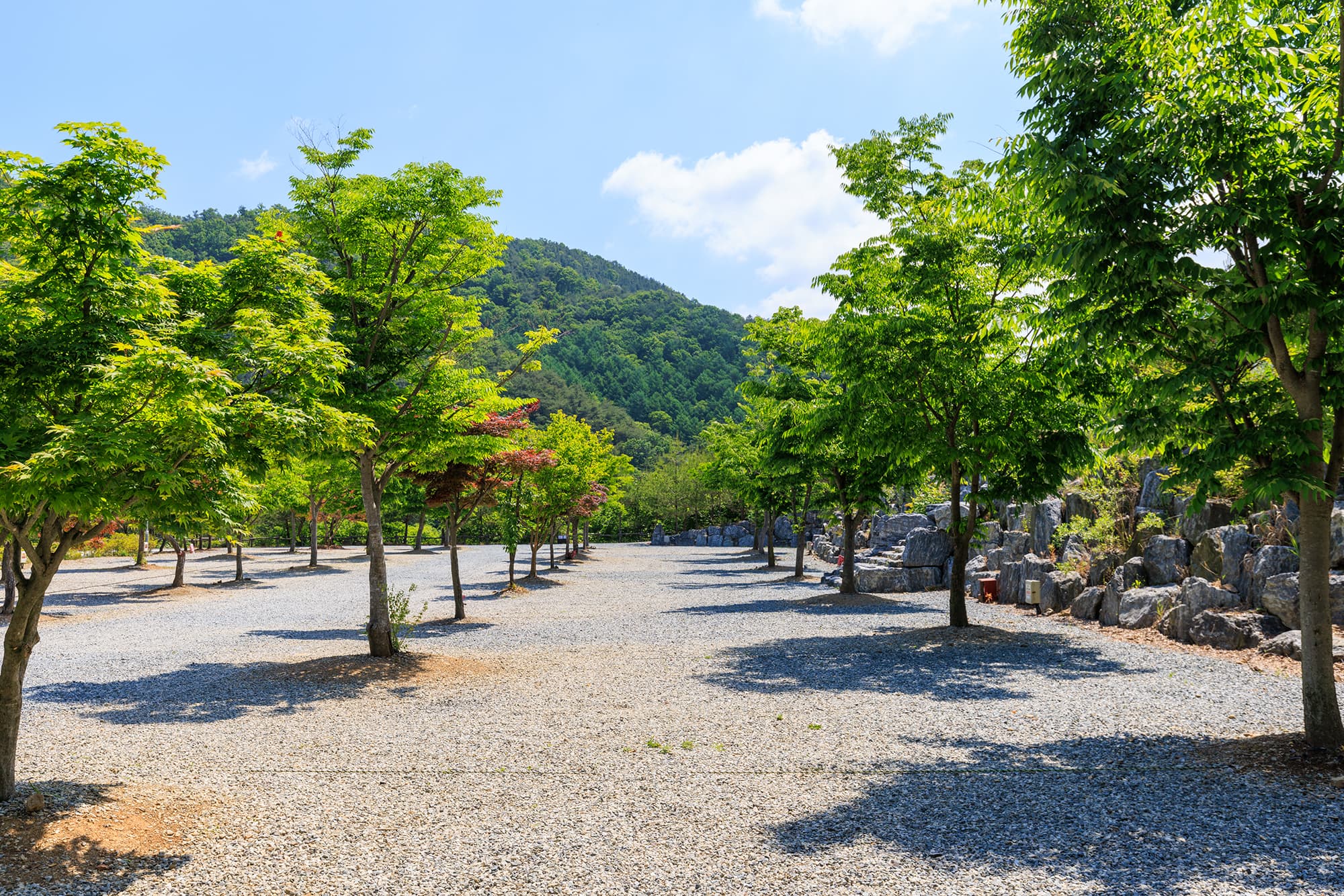 별바라기 캠핑 펜션 사진 7