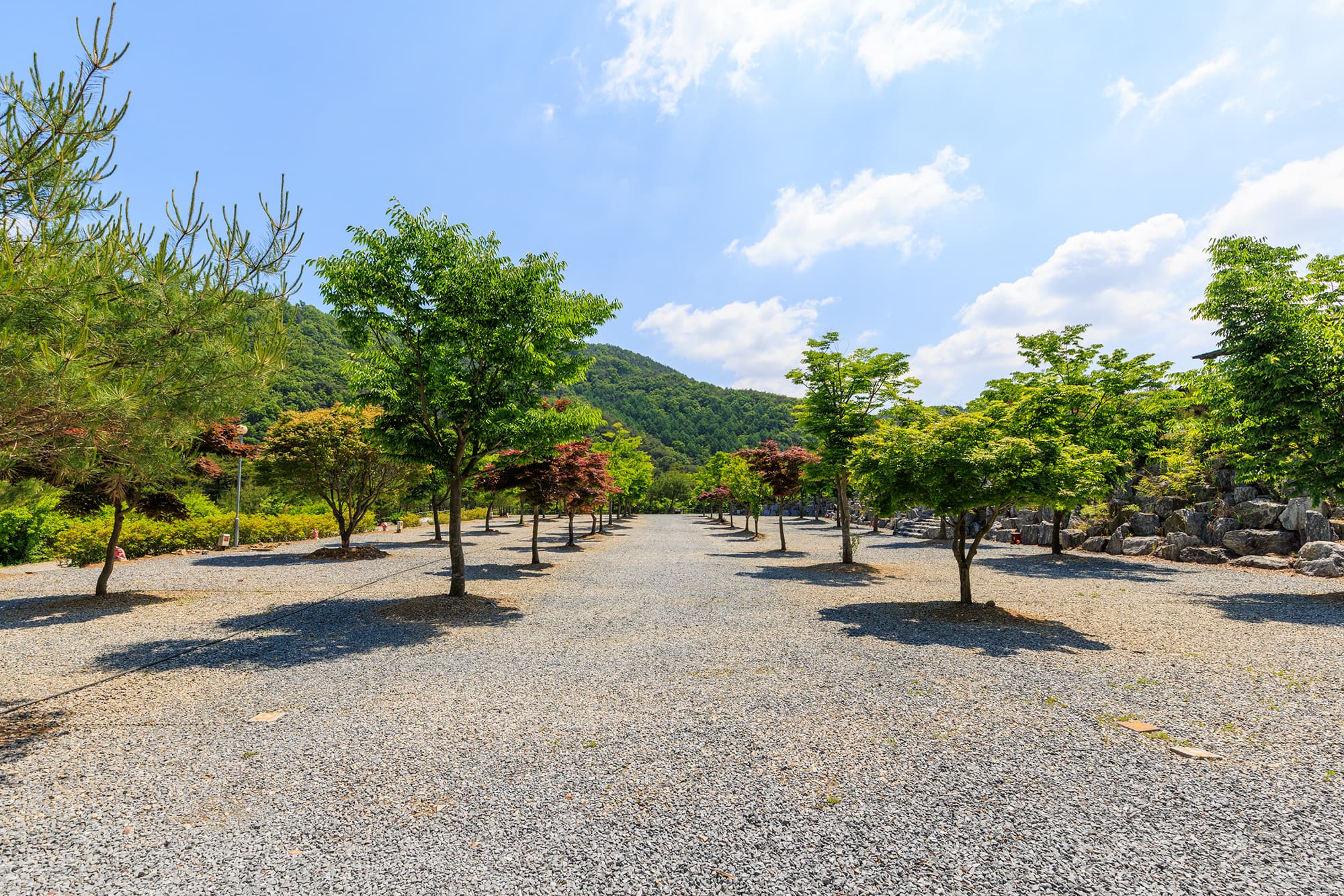 별바라기 캠핑 펜션 사진 21