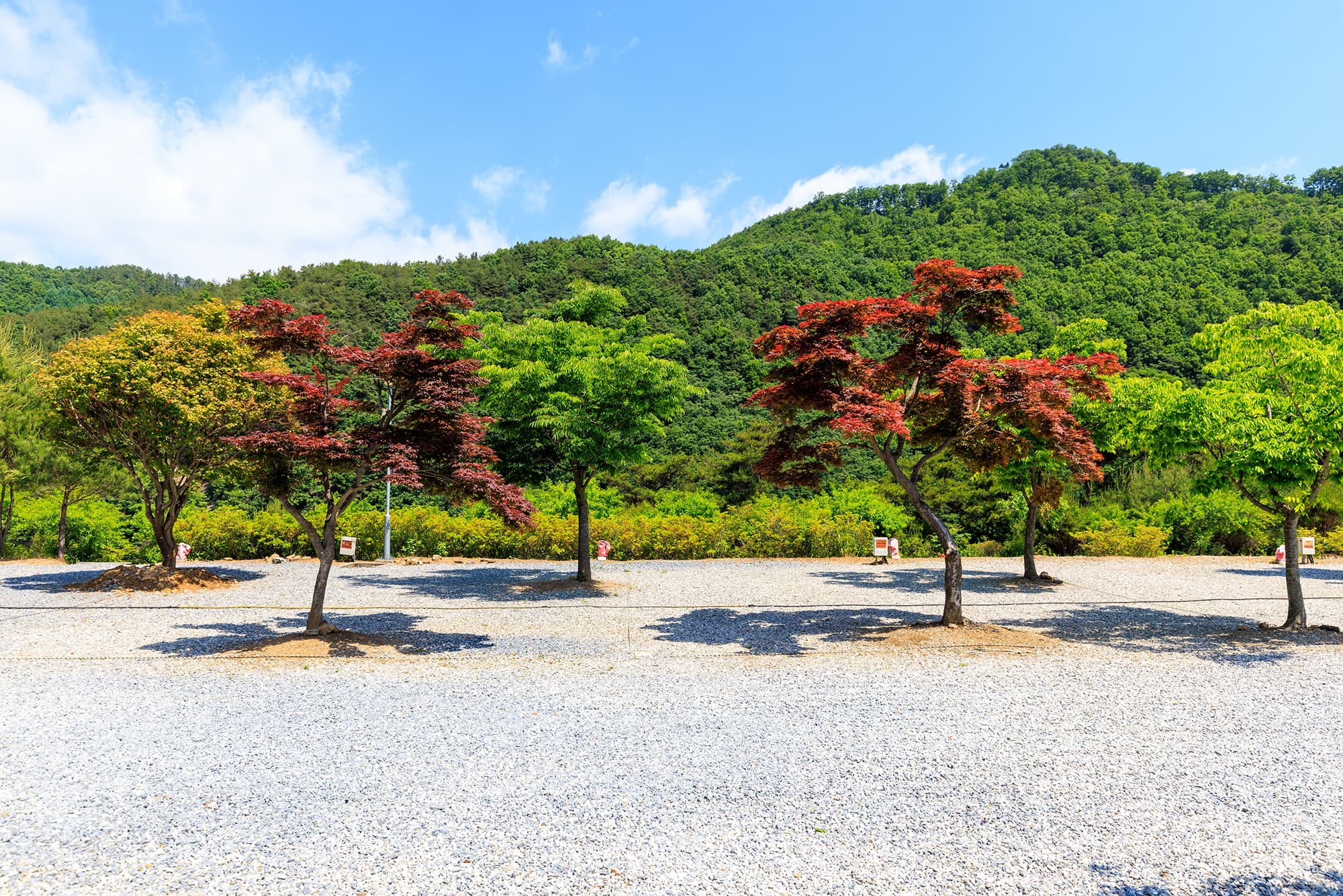 별바라기 캠핑 펜션 사진 6