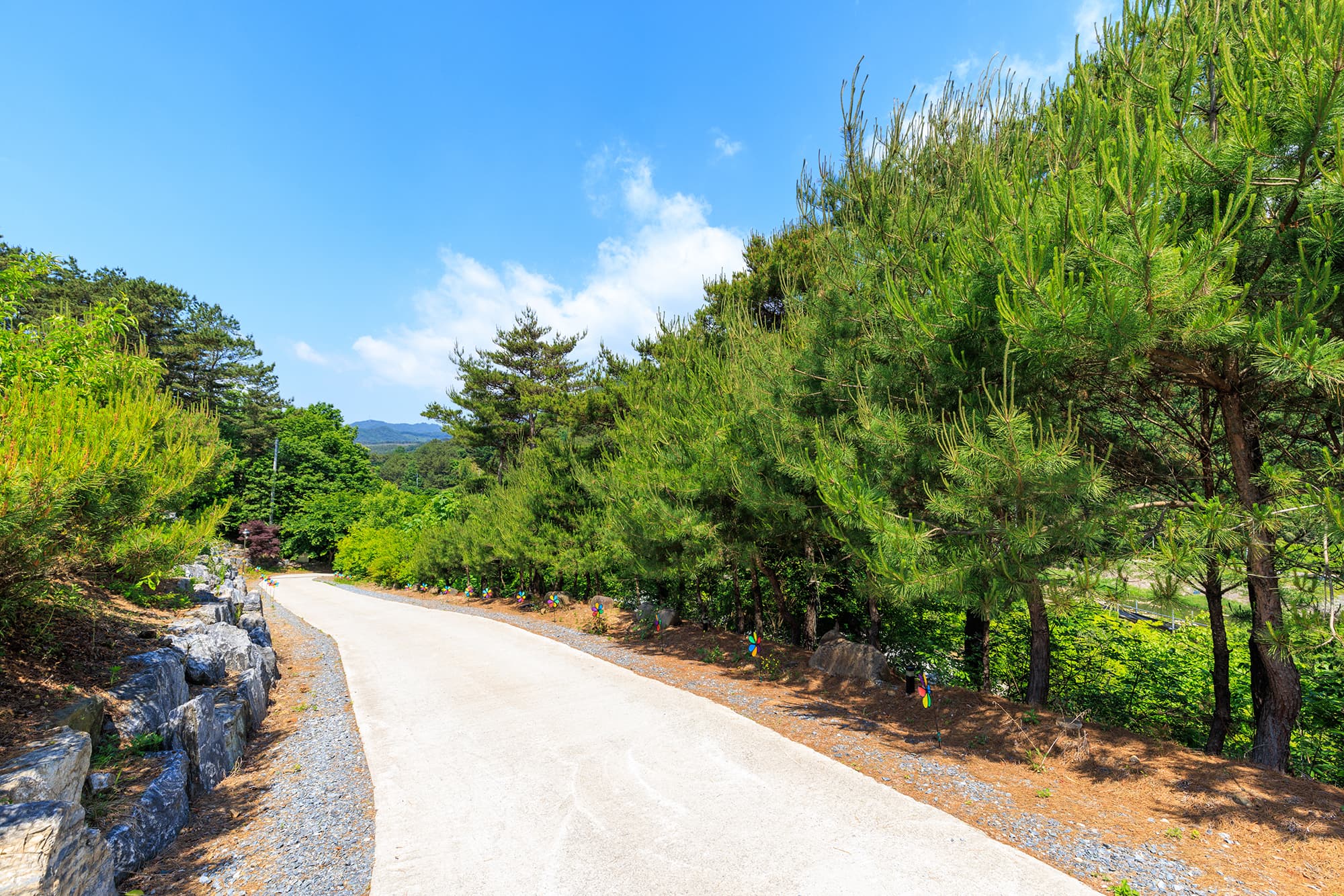 별바라기 캠핑 펜션 사진 3