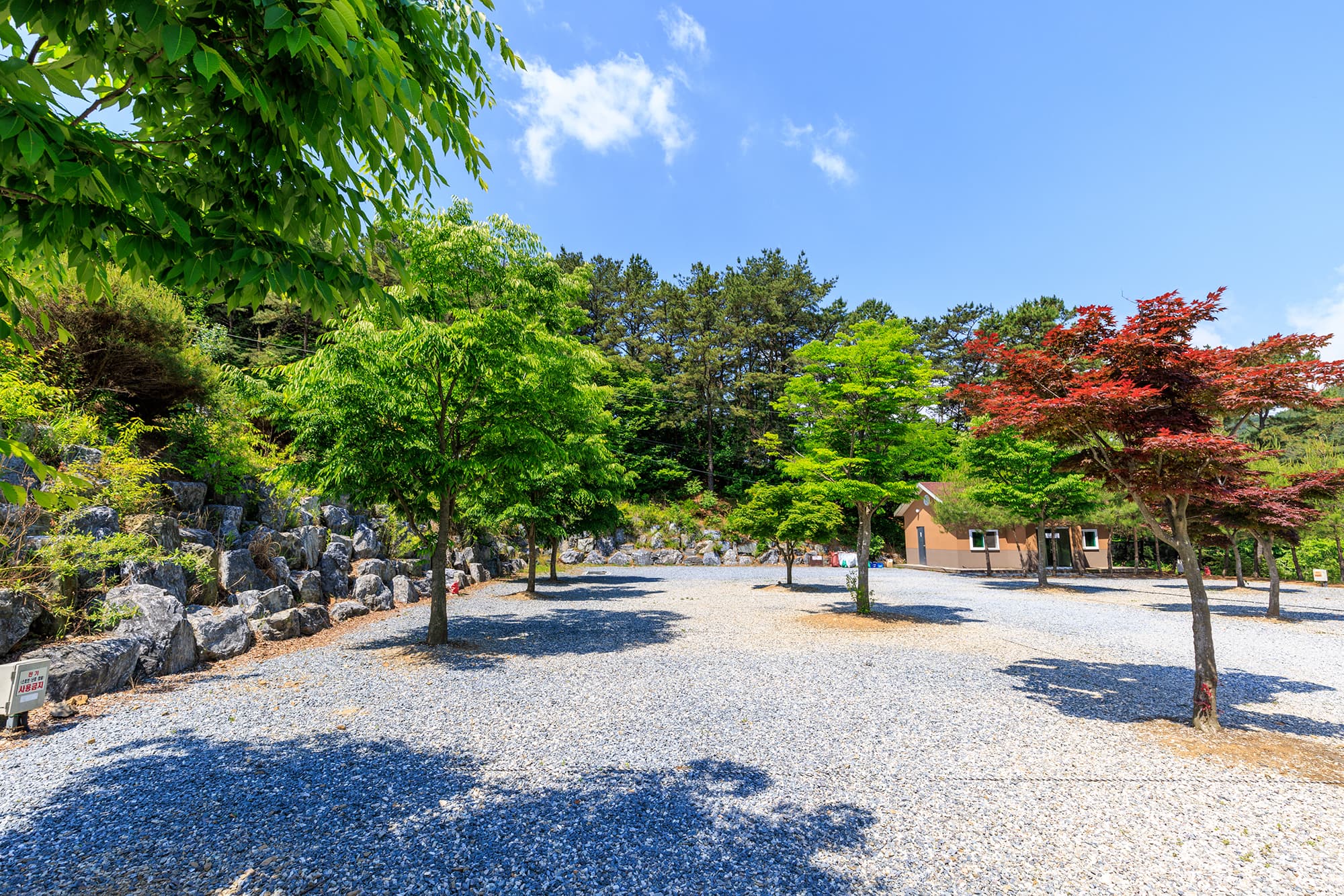 별바라기 캠핑 펜션 사진 12