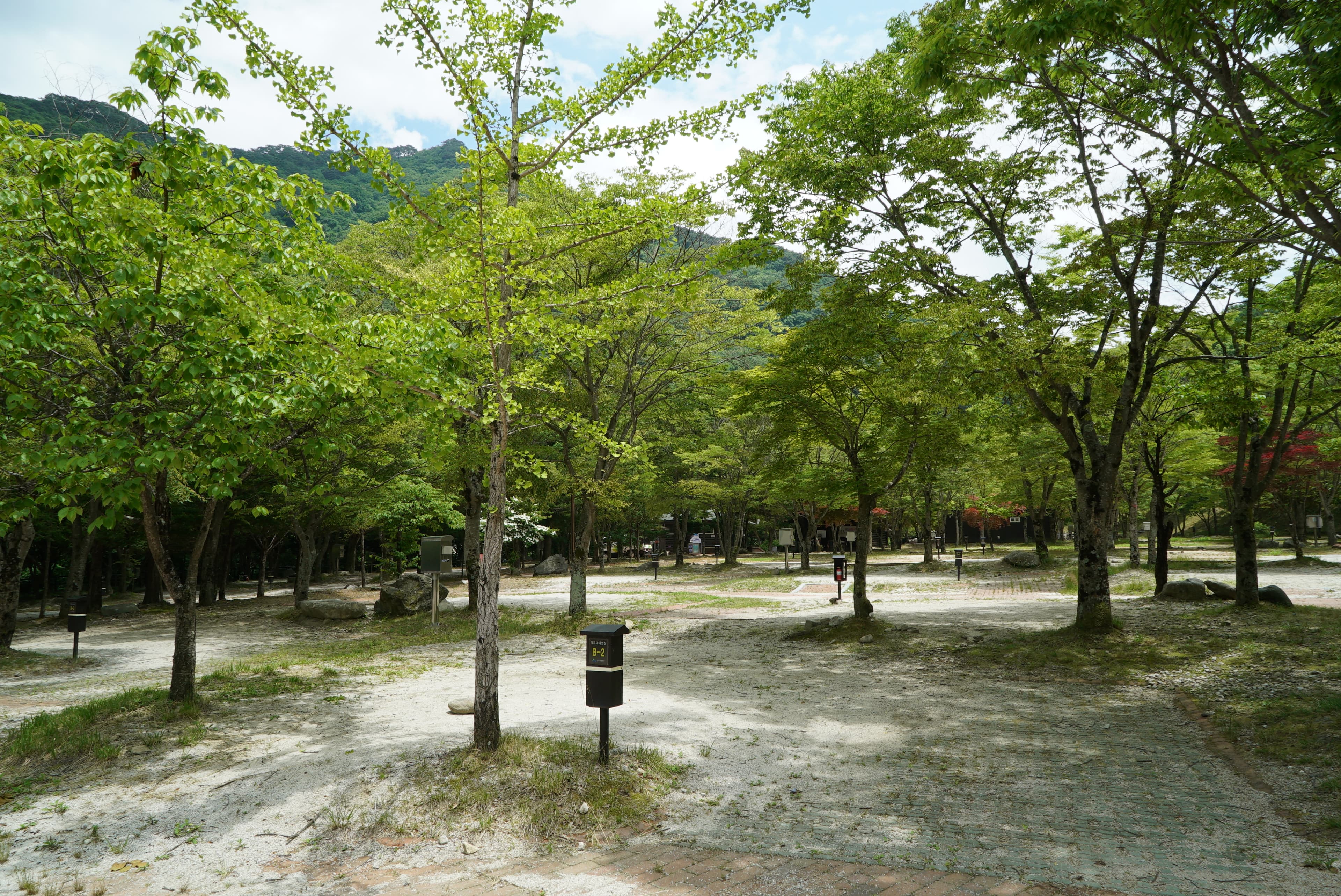 덕유대자동차야영장 사진 60