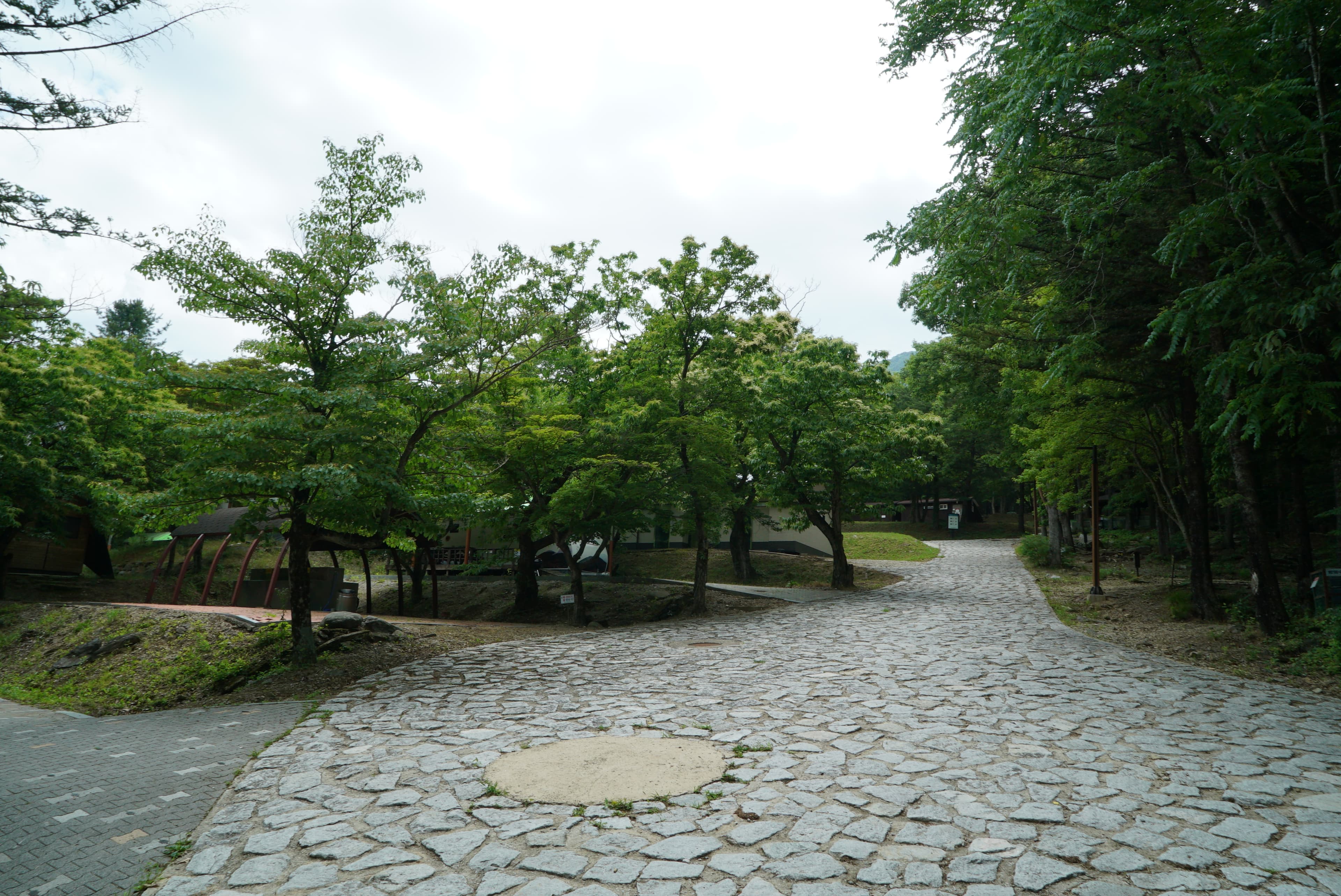 덕유대자동차야영장 사진 50