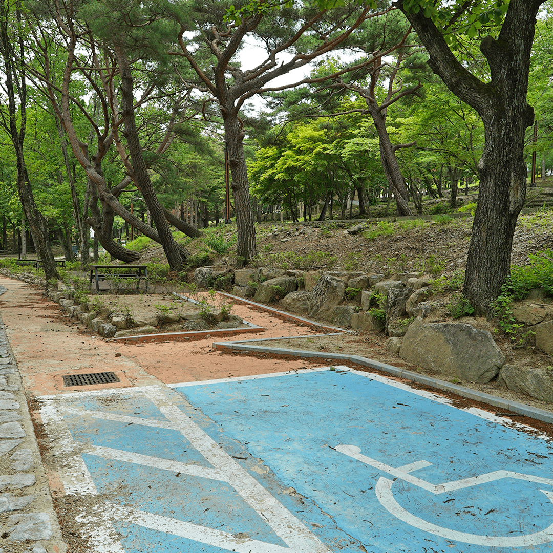 덕유대자동차야영장 사진 14