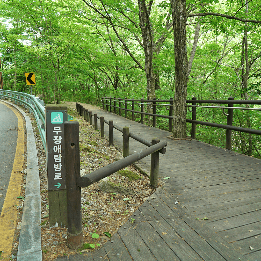 덕유대자동차야영장 사진 9