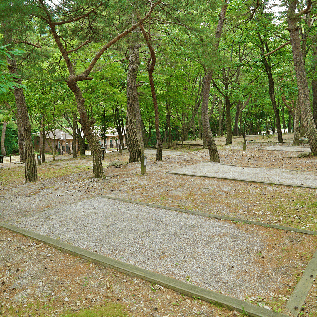 덕유대자동차야영장 사진 7