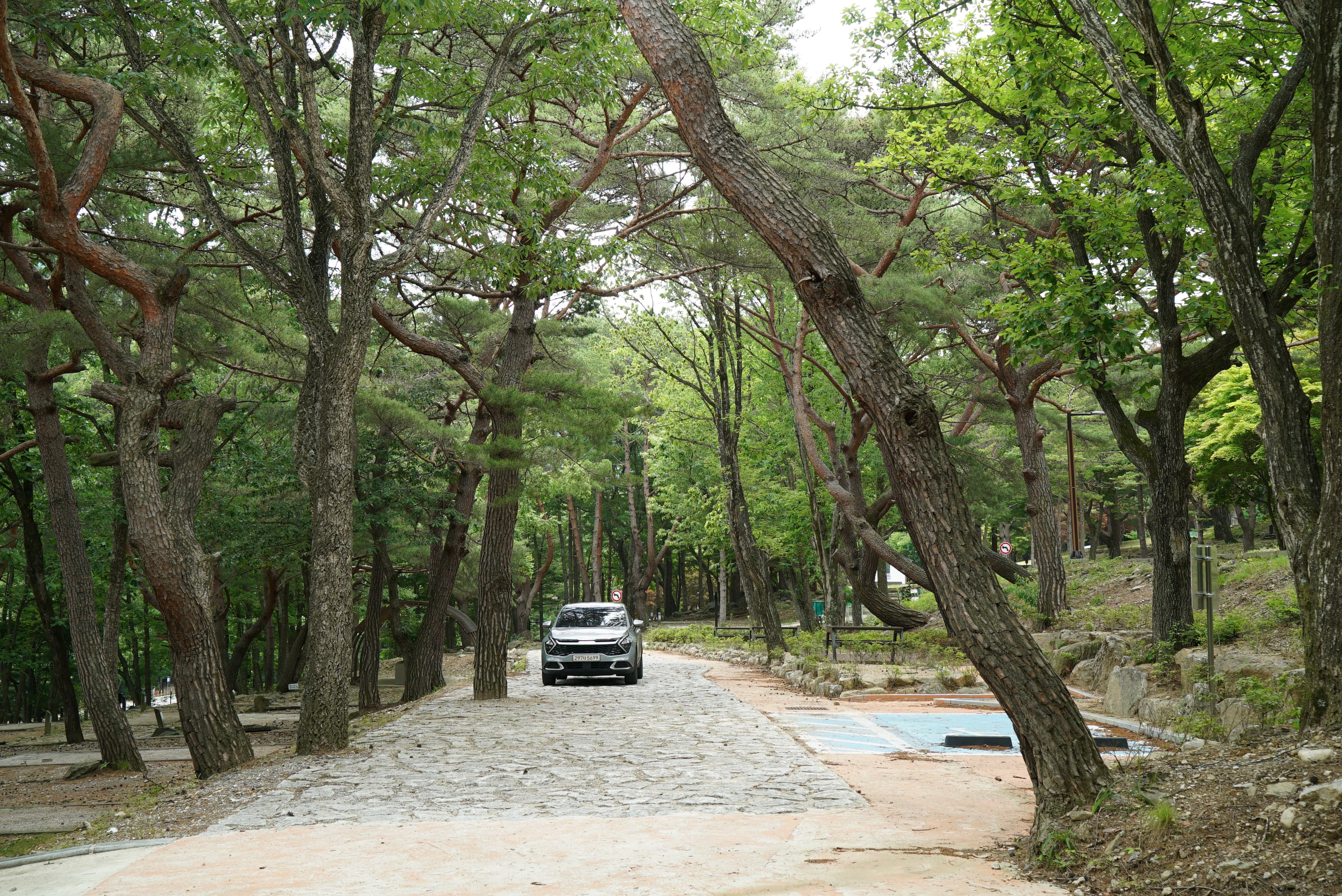 덕유대자동차야영장 사진 25