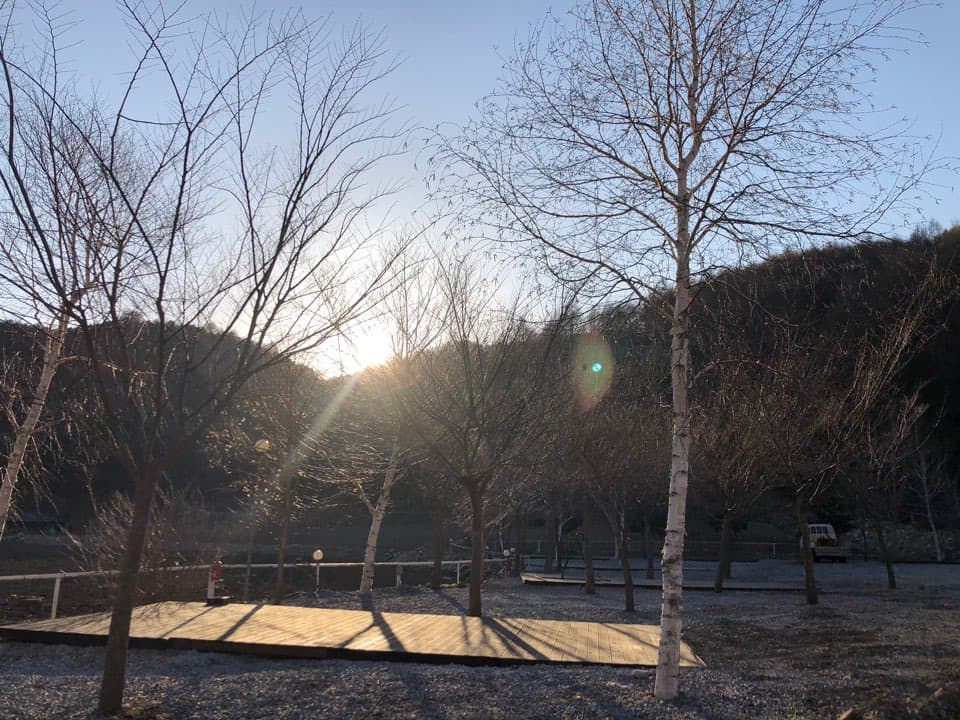 해마루오토캠핑장&펜션 사진 2