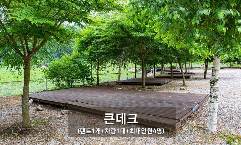 해마루오토캠핑장&펜션 사진 11