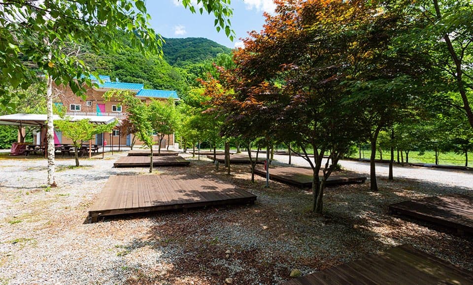 해마루오토캠핑장&펜션 사진 1