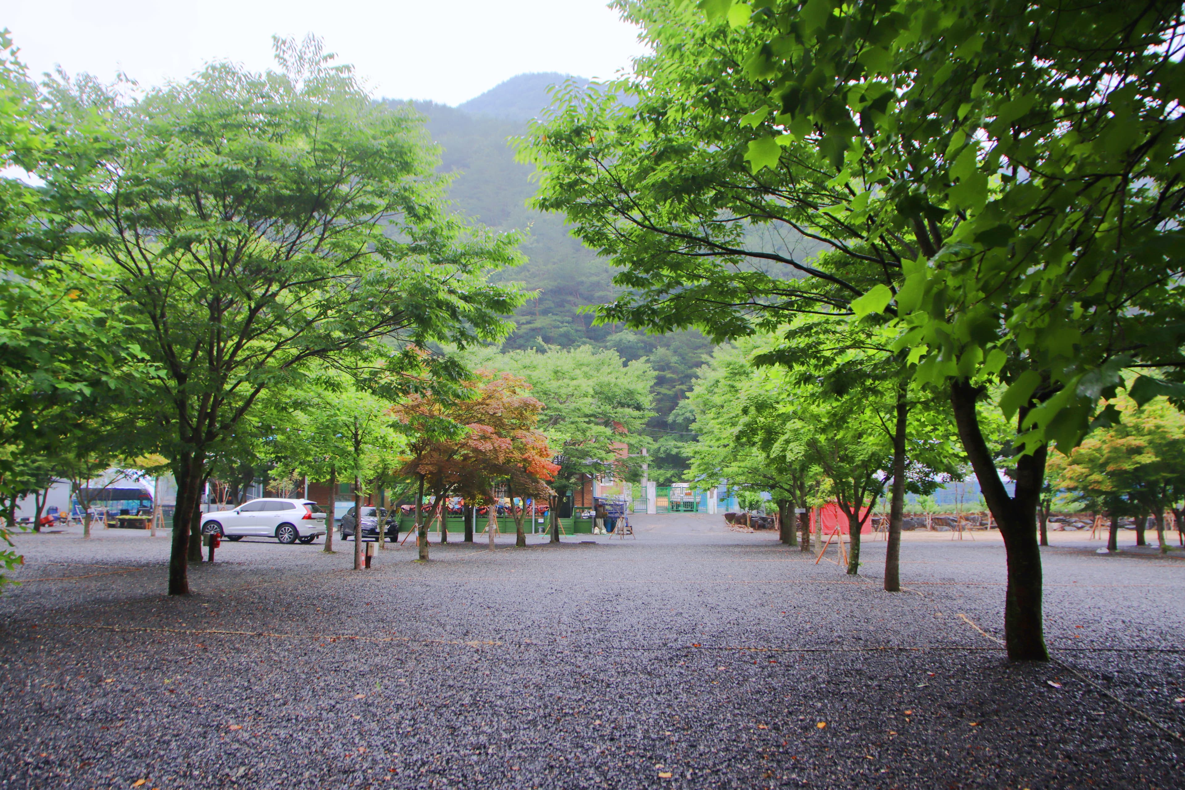 두산분교 캠핑장 사진 22