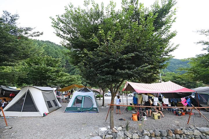둘레길관광농원 대표 사진