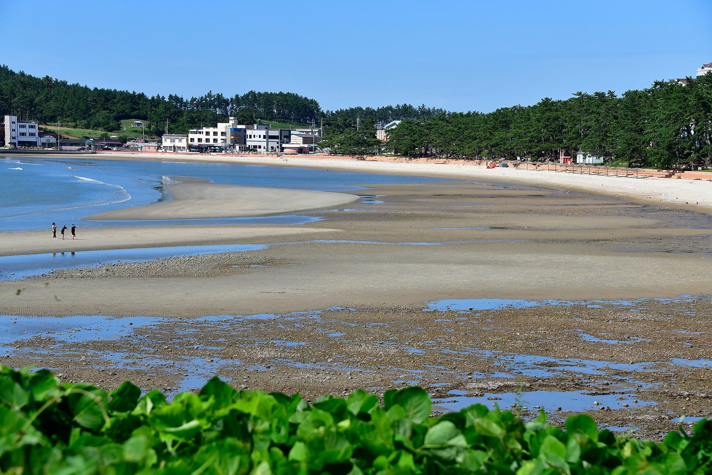 땅끝오토캠핑장 사진 1